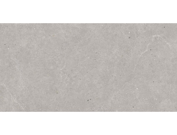 Gresie portelanata rectificata S. Grey 60x120 cm